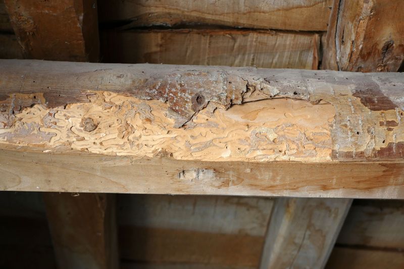 Damaged Floor Beam